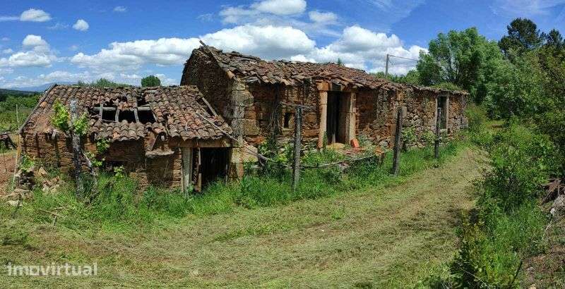 Quinta com casa em pedra em ruinas