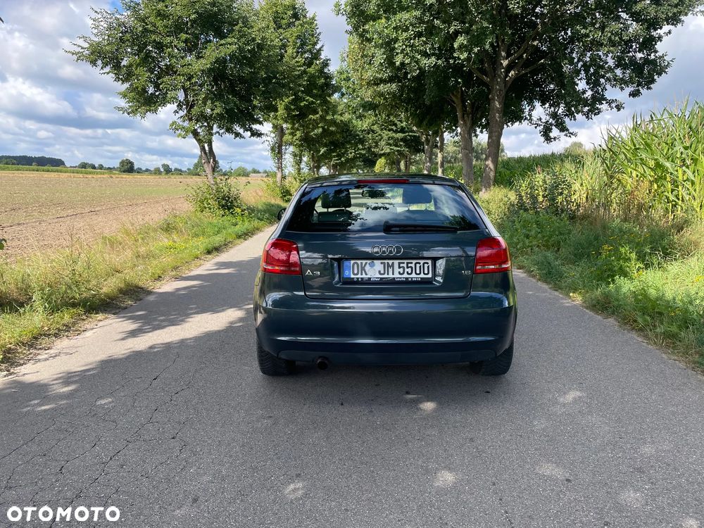 Audi A3 3-drzwiowe 1.6 Ambition - 5