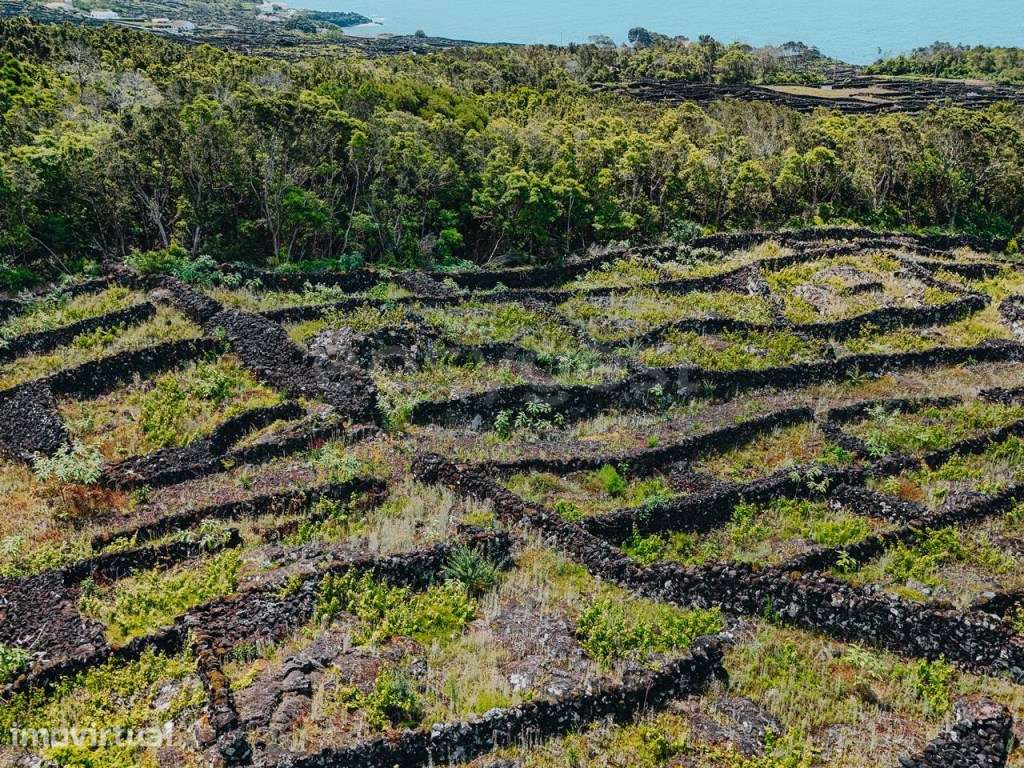 Terreno exclusivo com autenticidade, vista mar e montanha - ilha do... - Grande imagem: 3/19