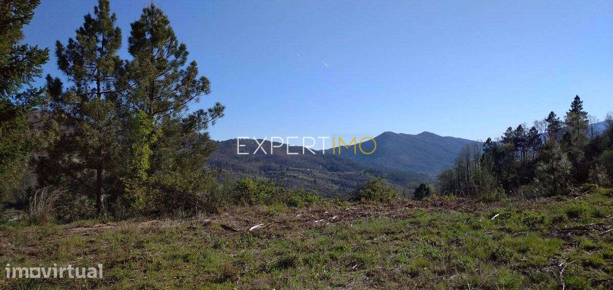 Quinta serra da estrela, terreno junto ao núcleo urbano - Guarda - Grande imagem: 3/44