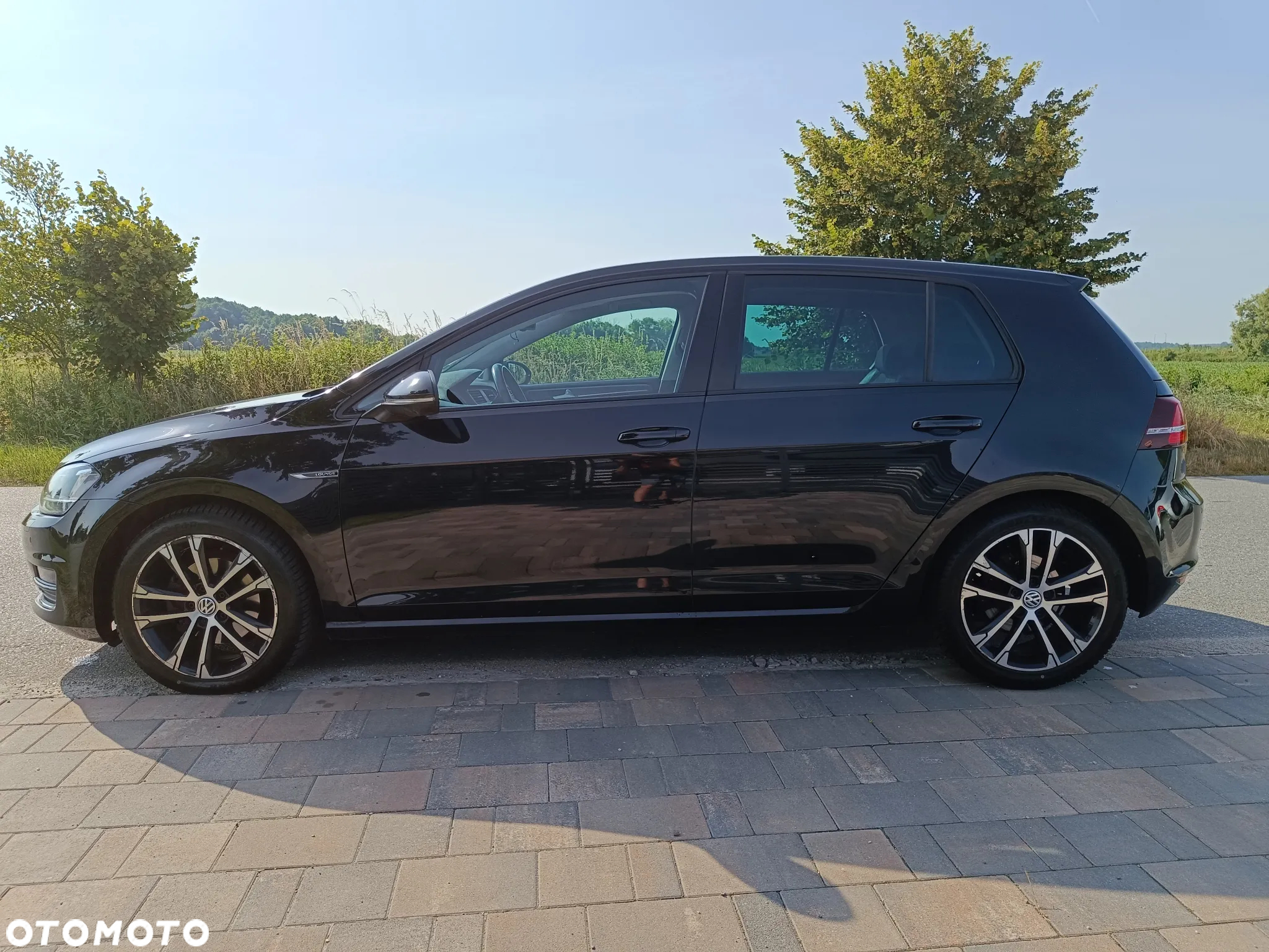 Volkswagen Golf 1.6 TDI BlueMotion Technology Lounge - 7