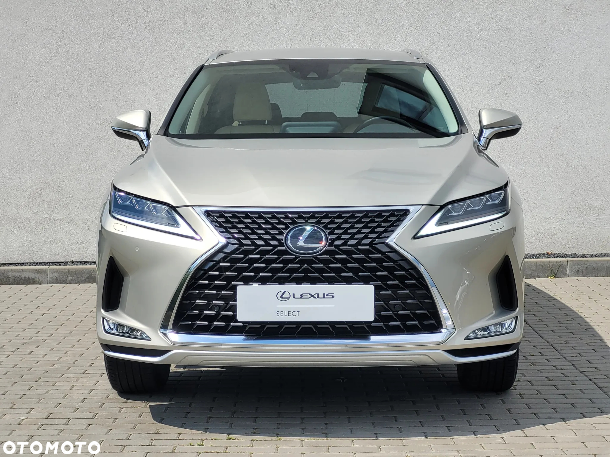 Lexus RX 300 Prestige - 7