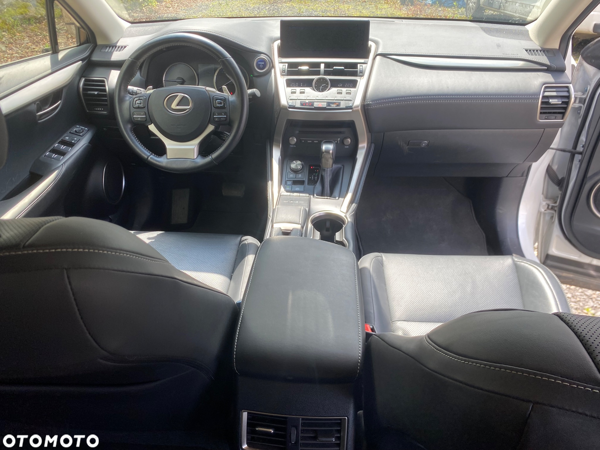 Lexus NX - 12