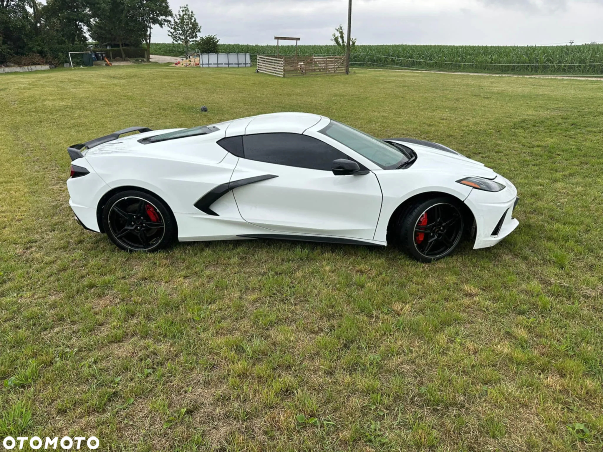Chevrolet Corvette - 3