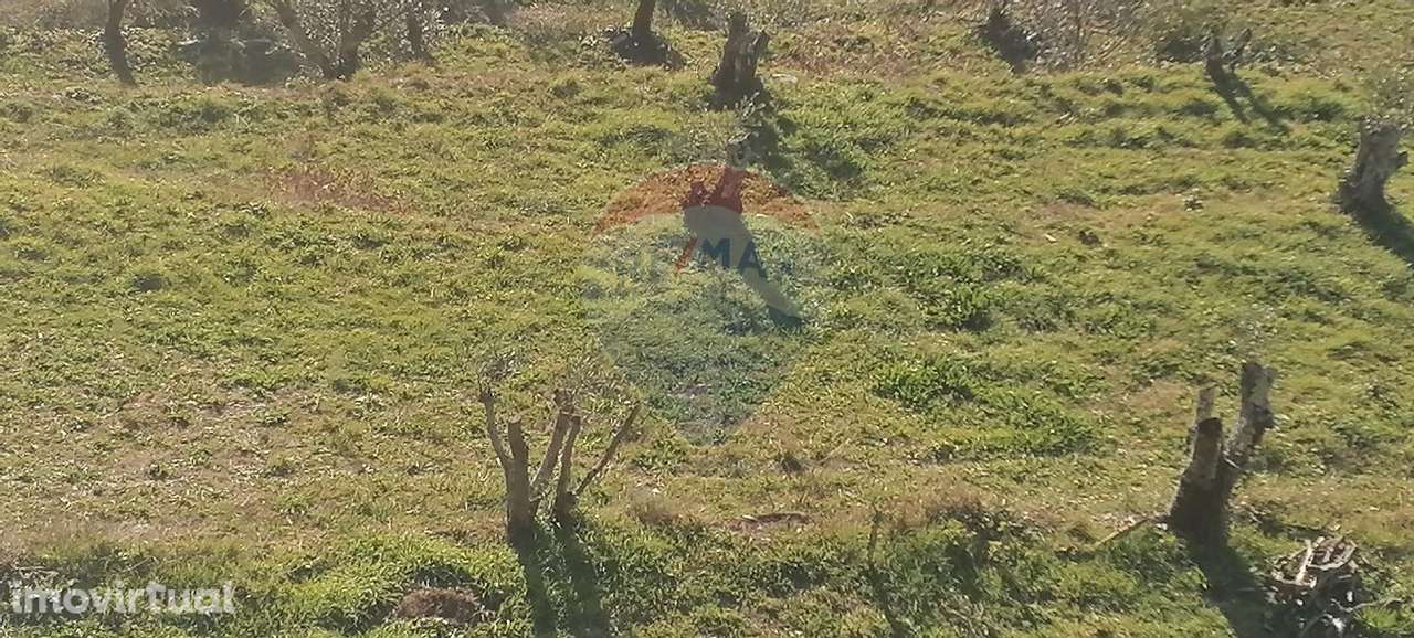 Moradia T3 para venda - Grande imagem: 4/27