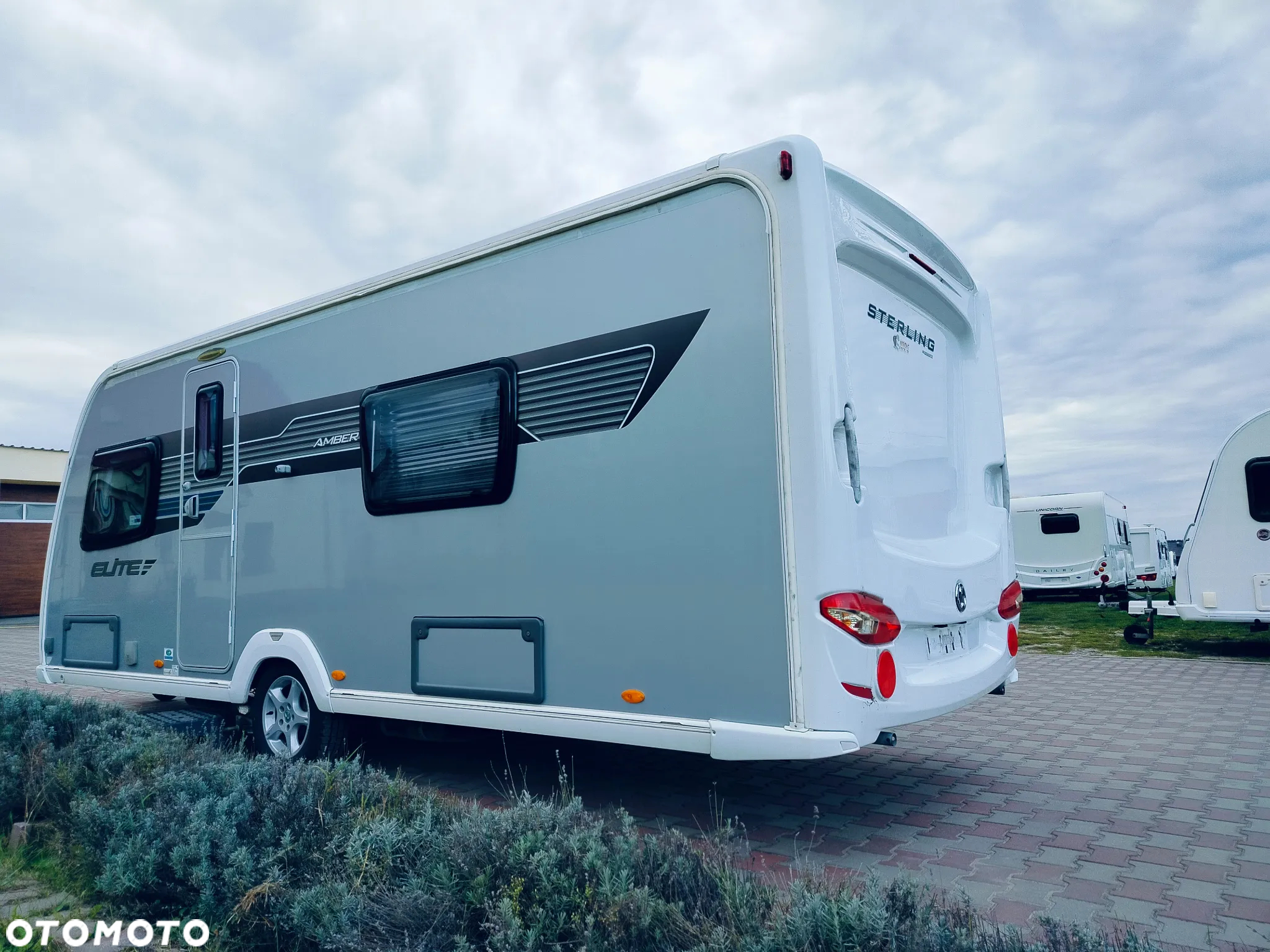 SWIFT Sterling Elite Amber - 2