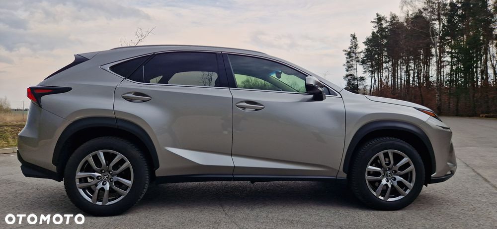 Lexus NX 300 Comfort AWD - 2