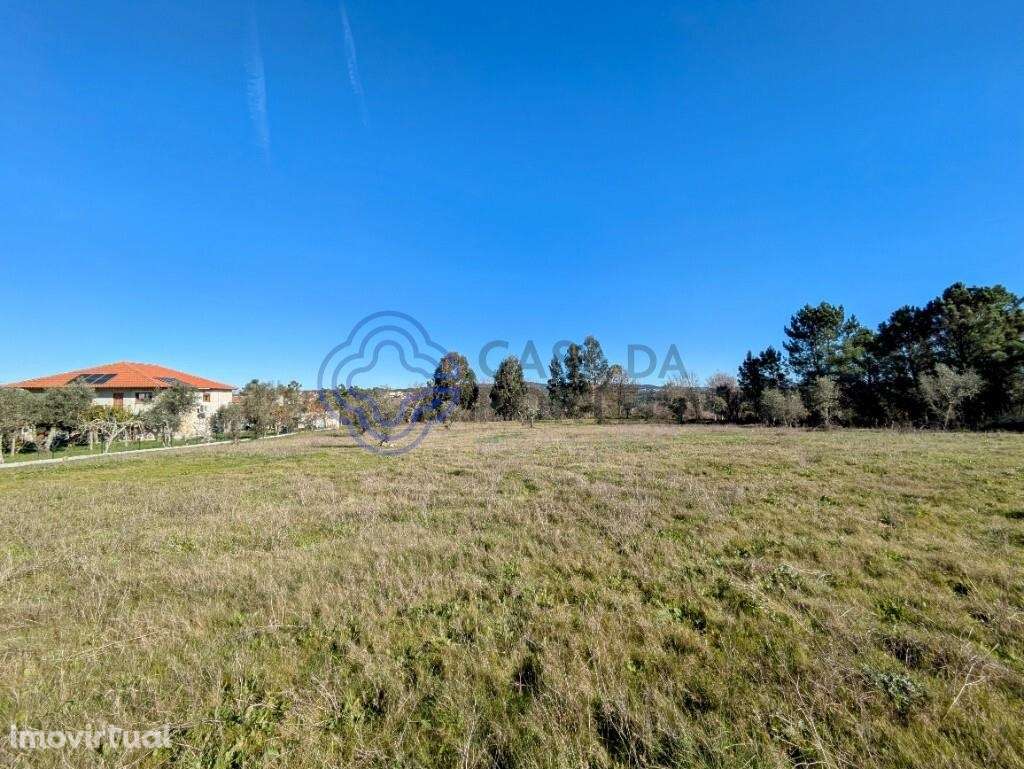 TERRENO URBANIZÁVEL PLANO EM TRAGOS, MANGUALDE - Grande imagem: 5/19