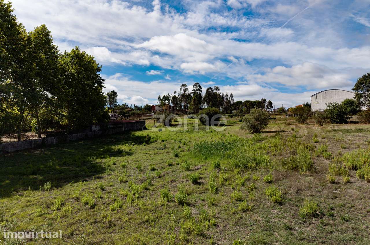 Terreno para Desenvolvimento Urbano  | Vila Nova de Poiares - Centro - Grande imagem: 5/15