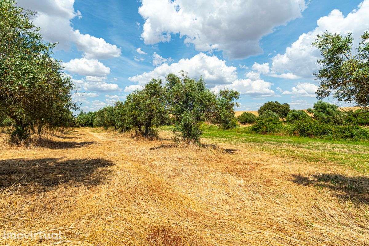 Terreno  para venda - Grande imagem: 5/44