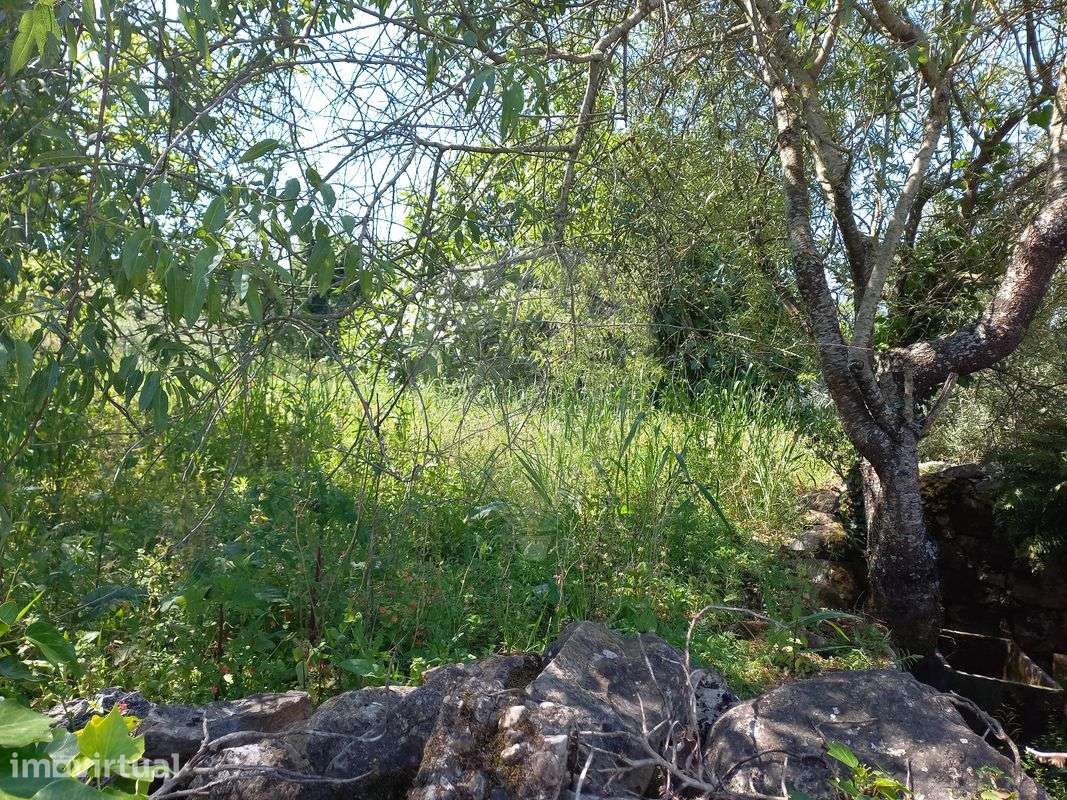 Terreno  para venda - Grande imagem: 3/3