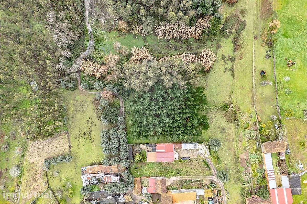 Terreno  para venda - Grande imagem: 5/10