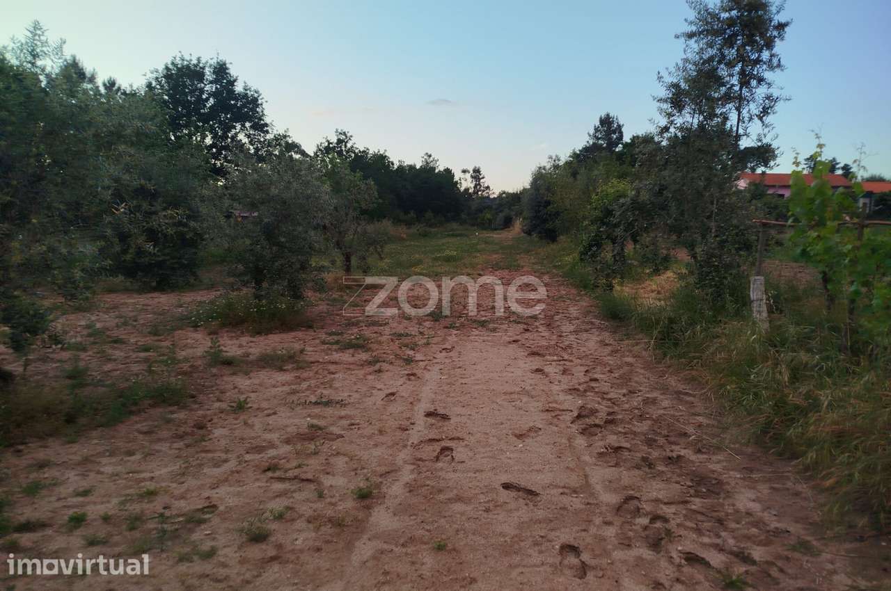 Terreno a 5 minutos do centro de Mangualde o seu Sonho - Grande imagem: 2/18