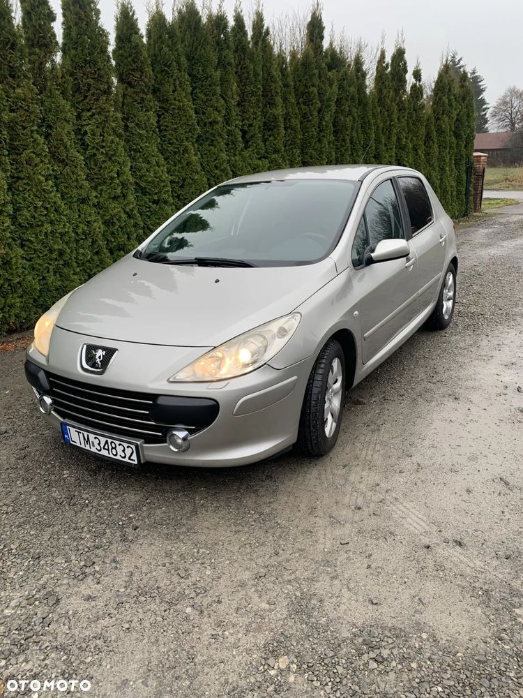 Peugeot 307 1.6 Premium - 1