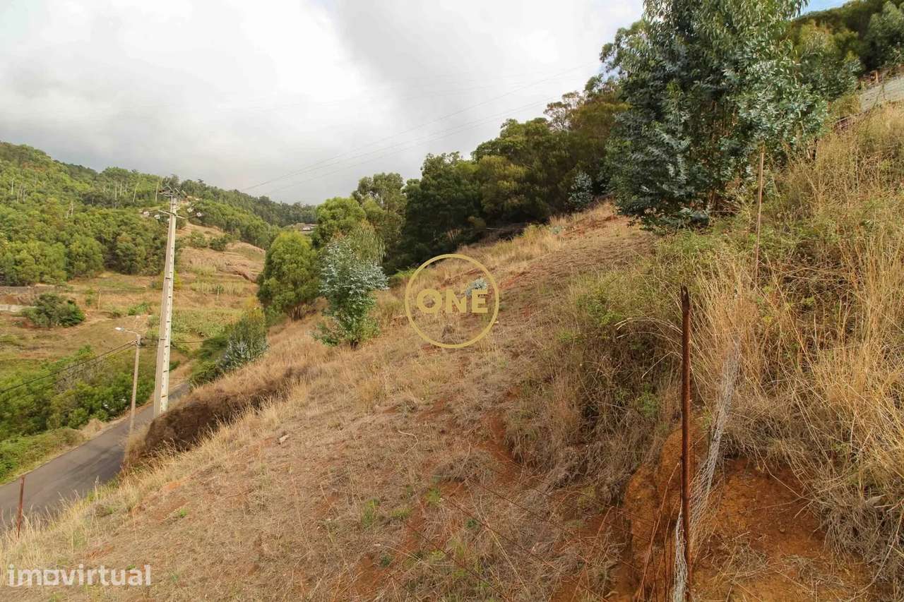 Terreno com 4299 m² - Grande imagem: 4/10