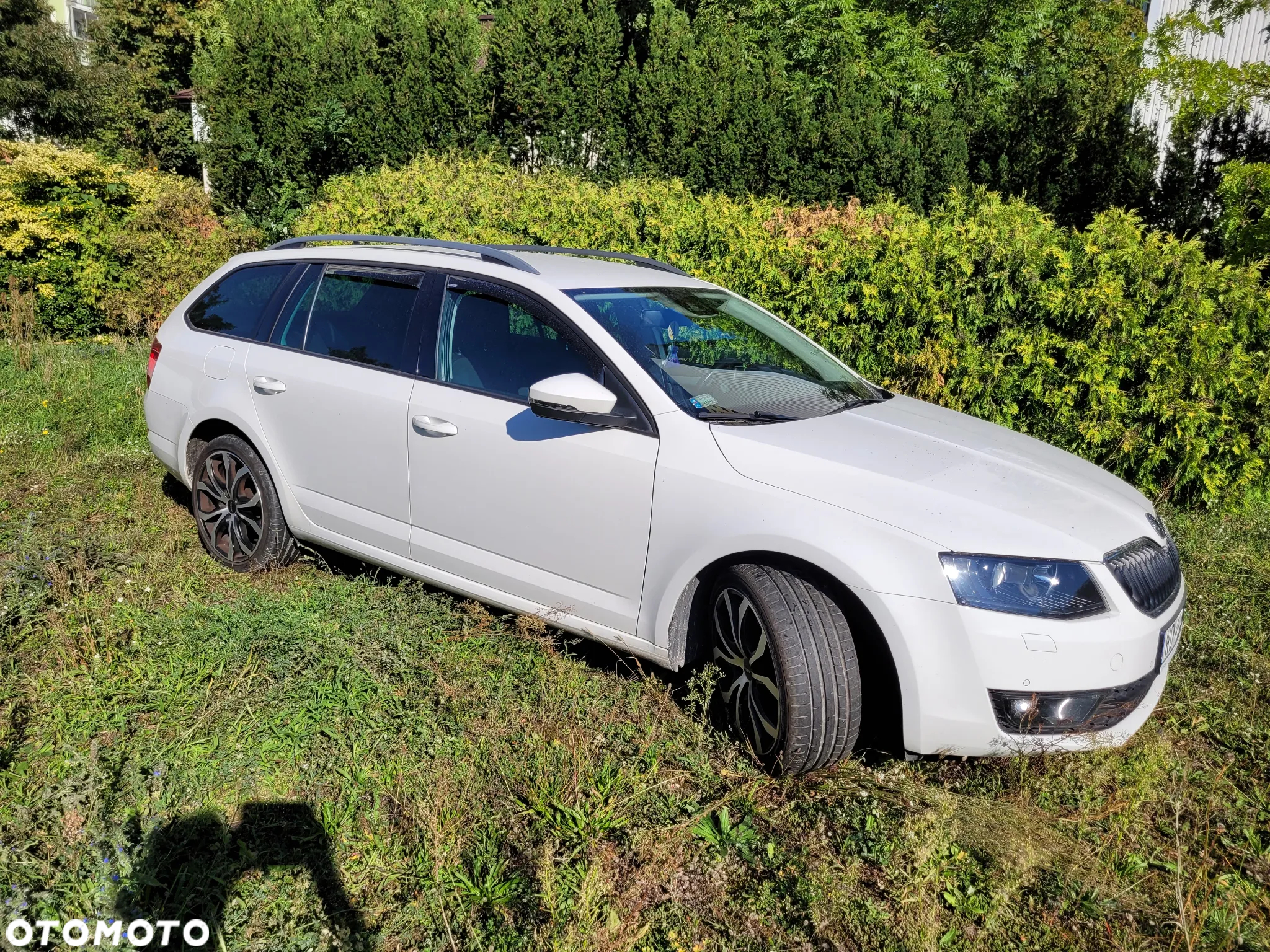 Skoda Octavia 2.0 TDI 4x4 Ambition - 3