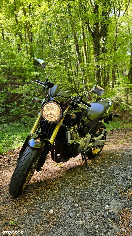 Honda Hornet - 7