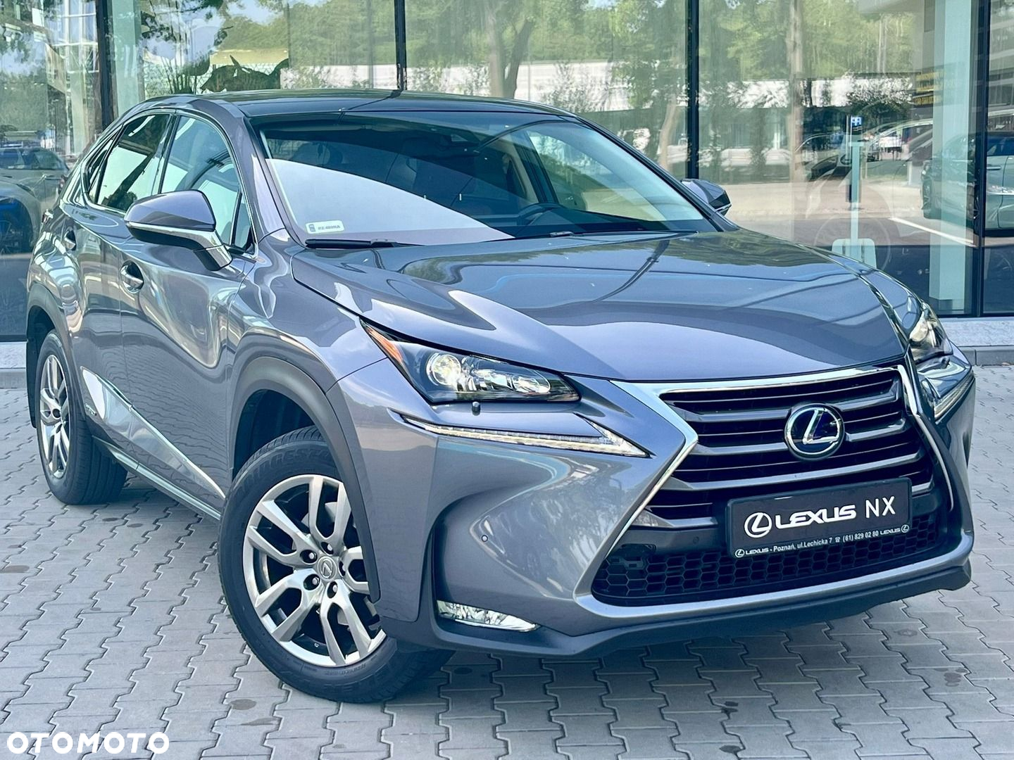 Lexus NX - 10