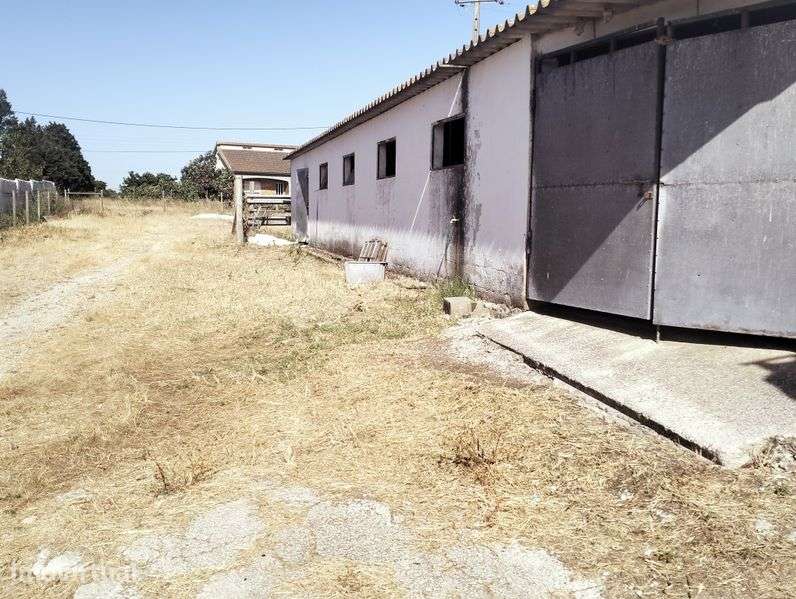 Alugar terreno com armazens - Grande imagem: 4/4