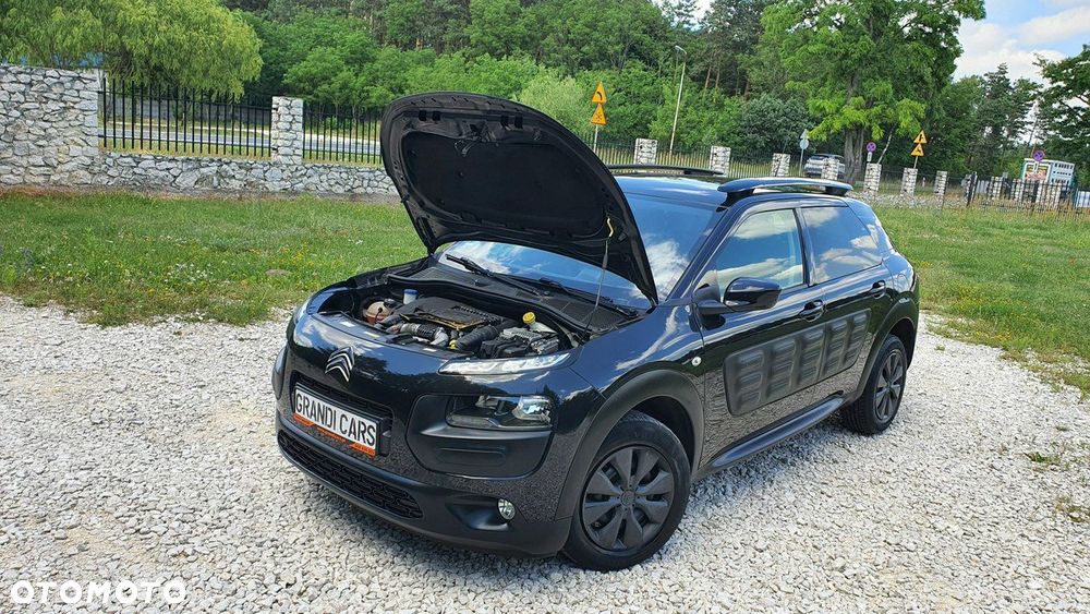 Citroën C4 Cactus - 31