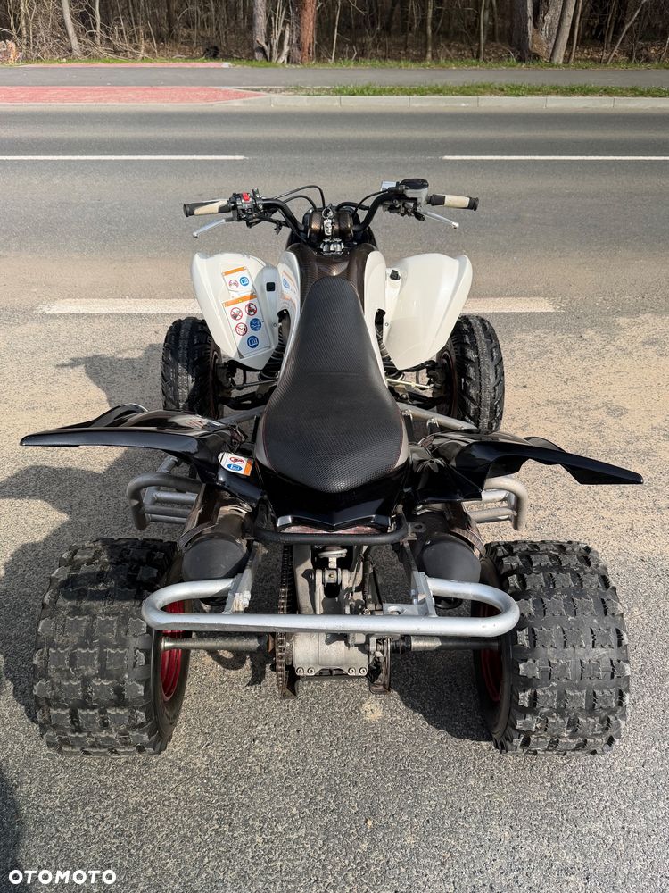 Yamaha Raptor - 19