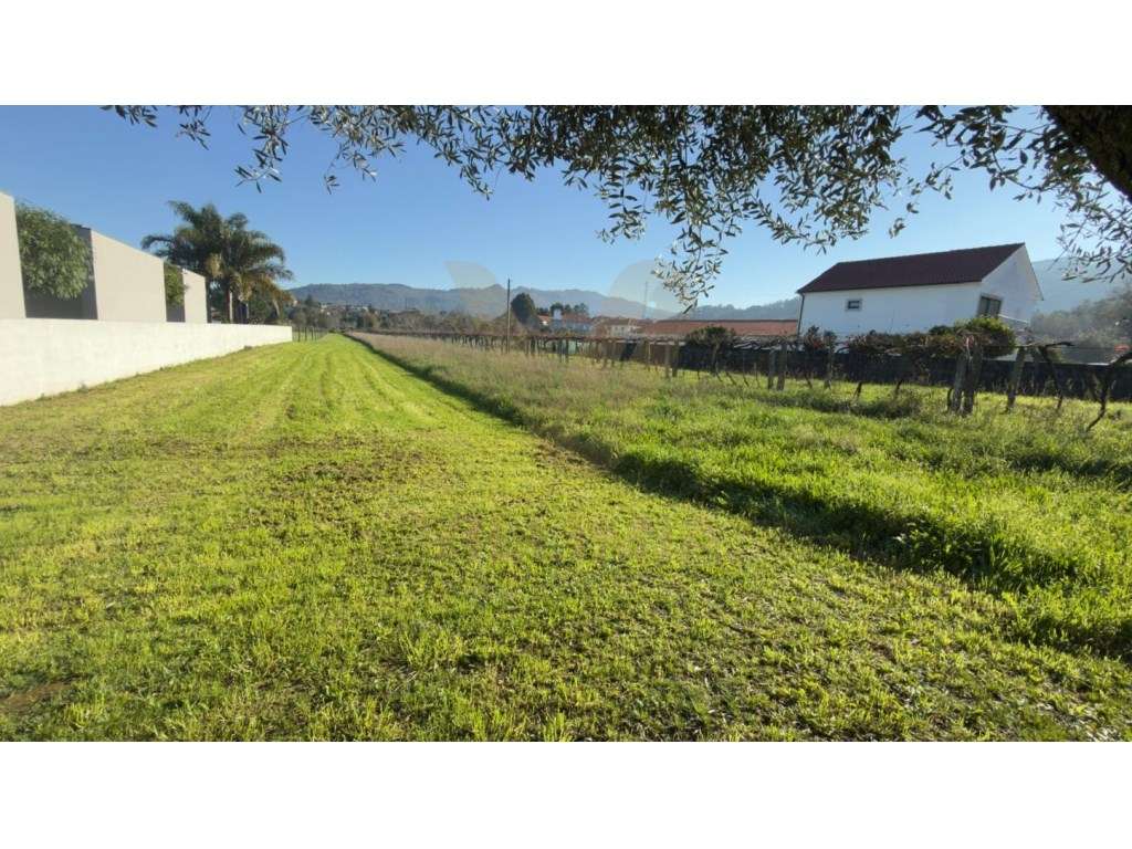 Terreno 1.137,6 m² para Construção | Deão, Viana do Castelo - Grande imagem: 3/3