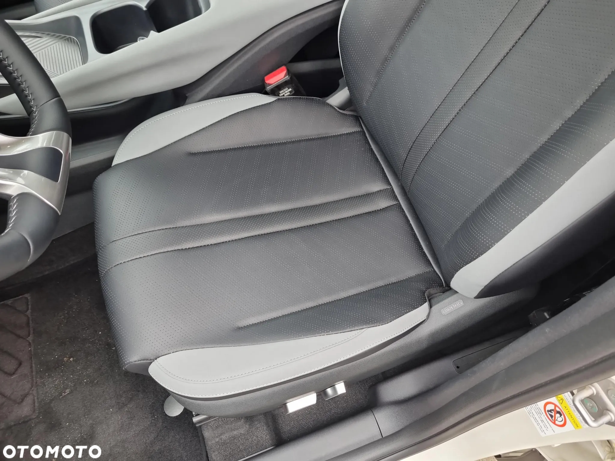 BYD Dolphin Surf - 12