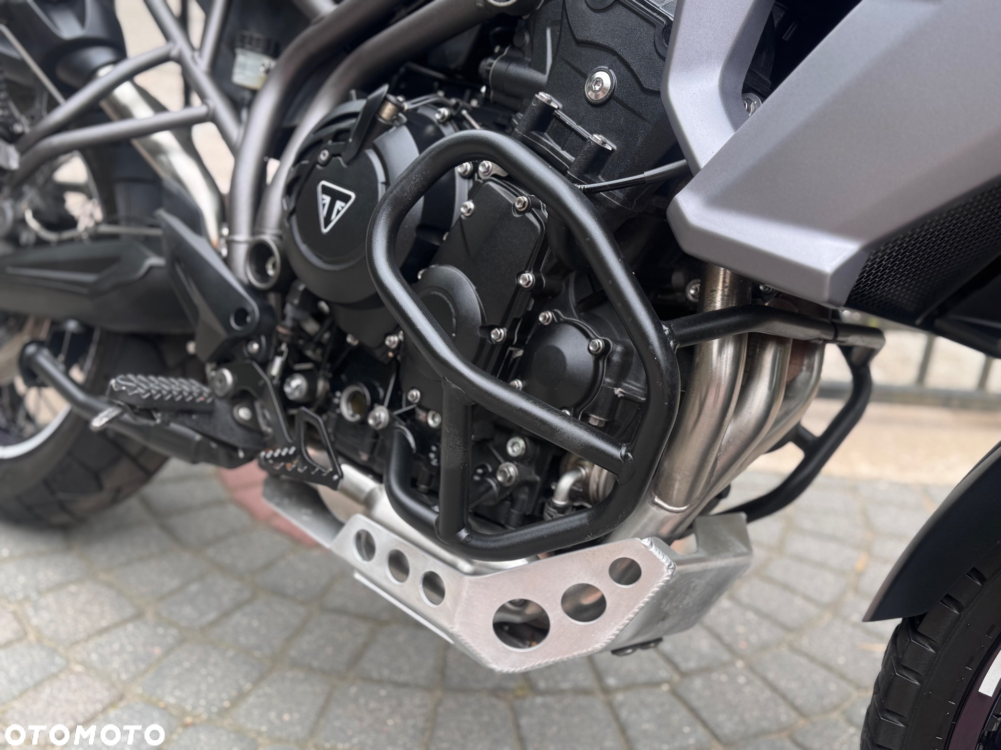 Triumph Tiger - 24