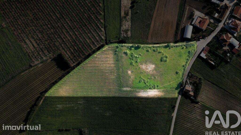 Terreno em Freiria de 15080,00 m2 - Grande imagem: 3/22