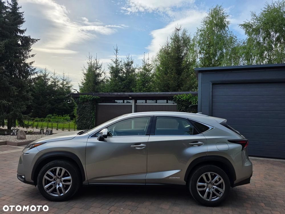 Lexus NX 300h - 8