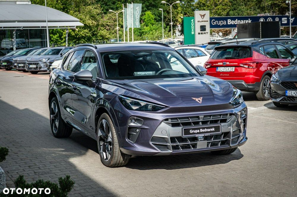 Cupra Terramar - 9