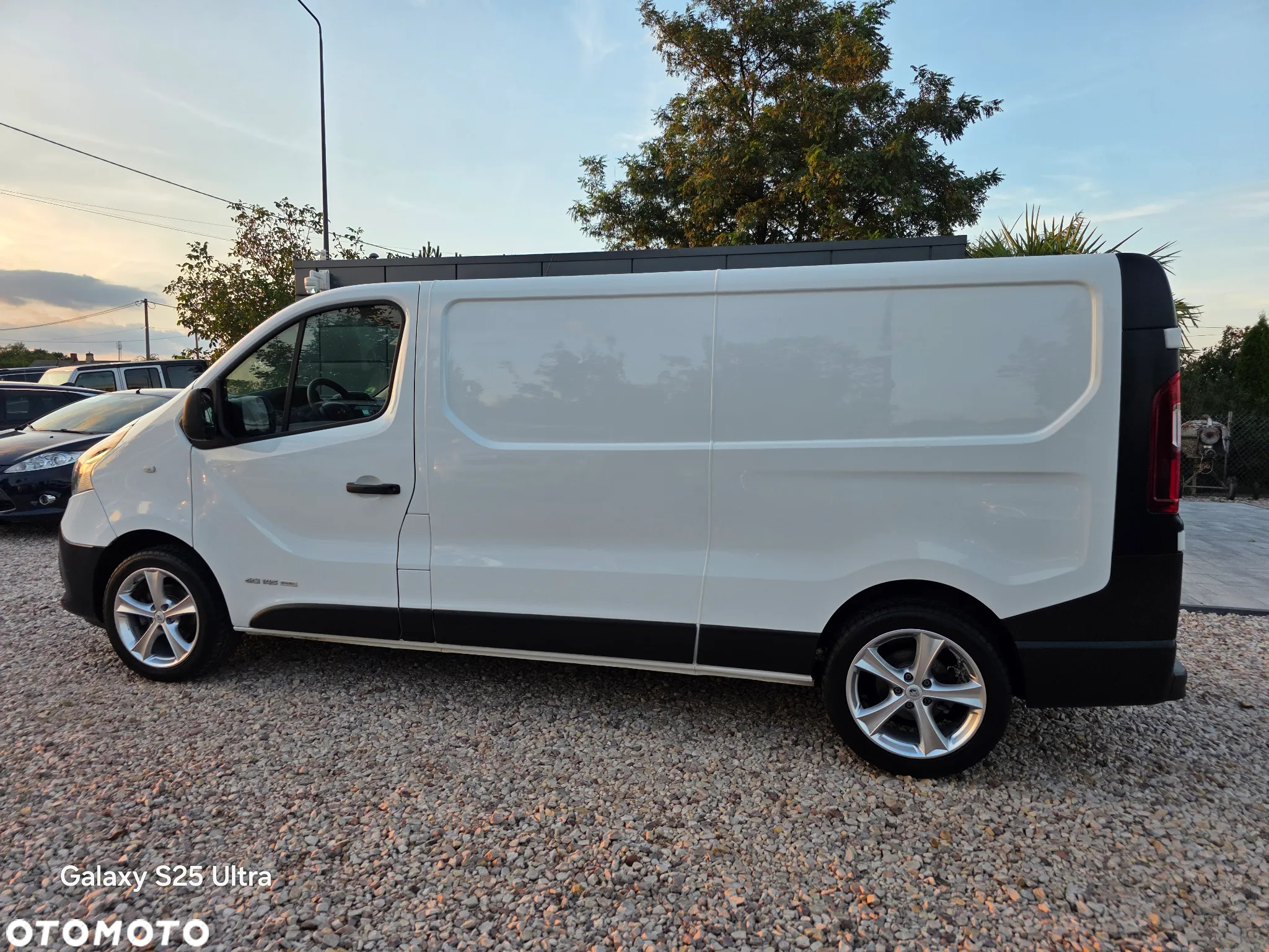 Renault Trafic - 19