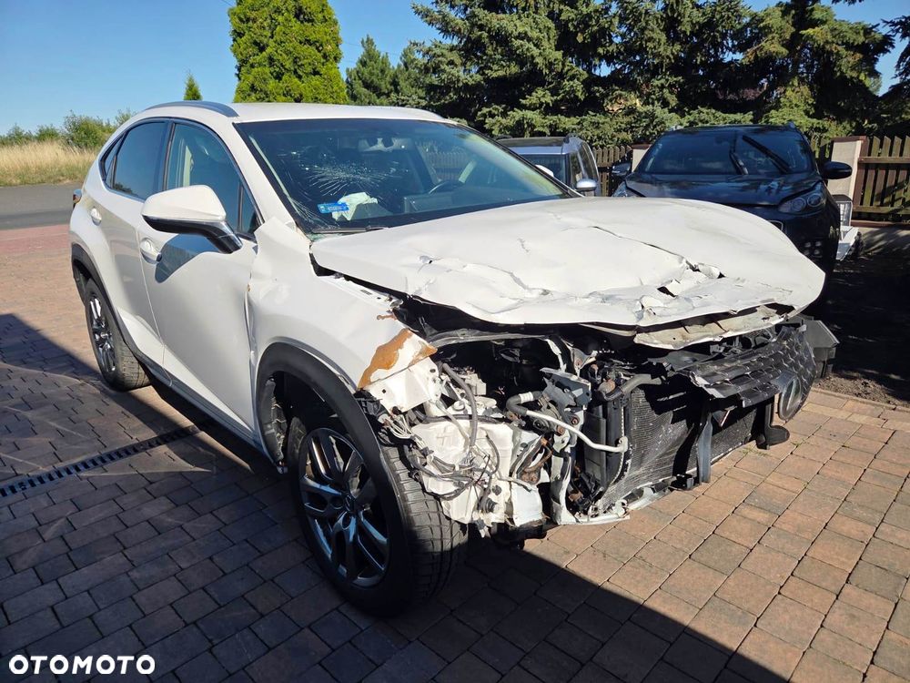 Lexus NX 300 Optimum AWD - 10
