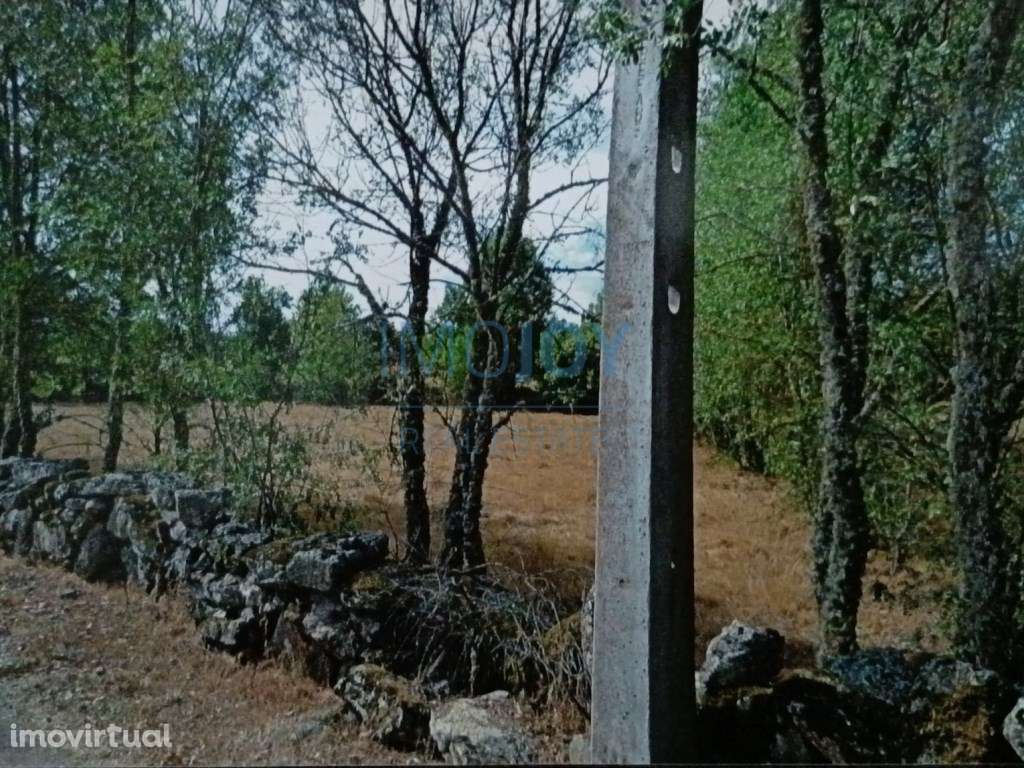 Terreno Rústico para Venda Ade, Guarda - Grande imagem: 3/16