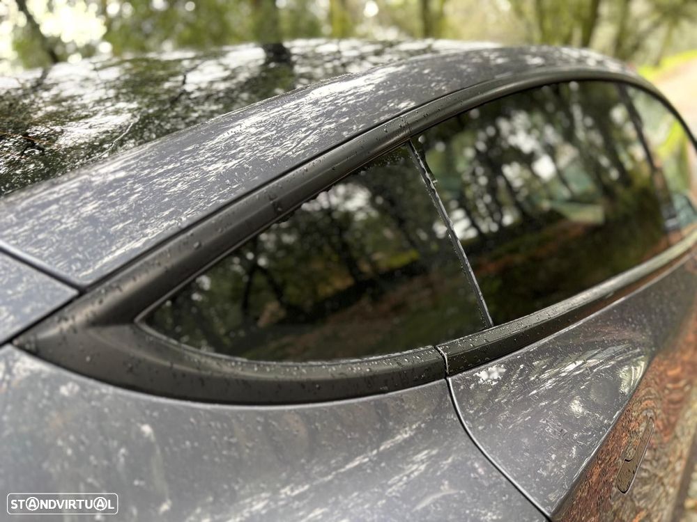 Tesla Model 3 Performance Dual Motor AWD - 17