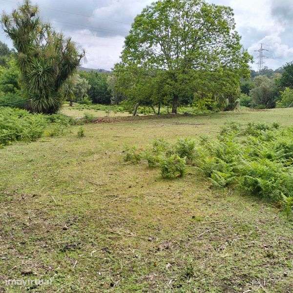 Quinta nas montanhas mágicas de São Pedro do Sul - Grande imagem: 4/12