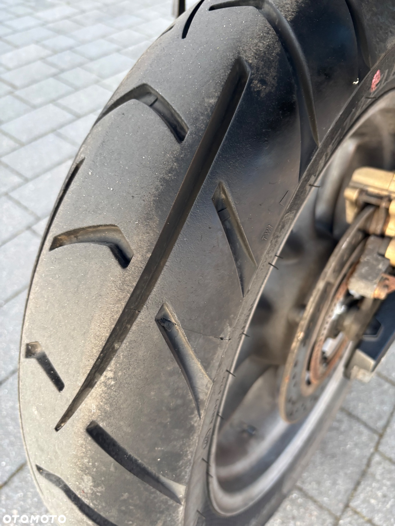 Triumph Tiger - 11