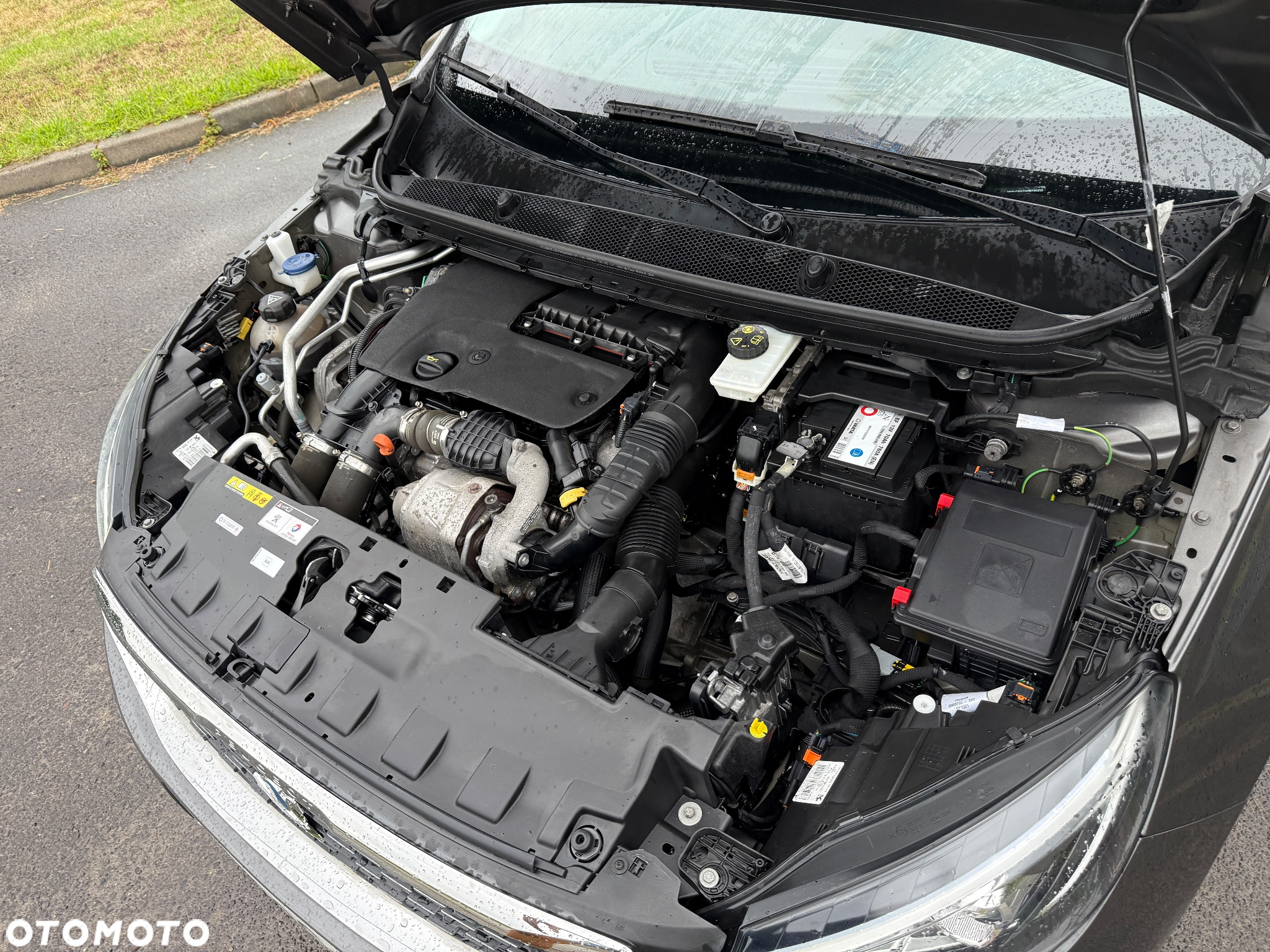 Peugeot 308 1.6 BlueHDi Allure S&S - 24