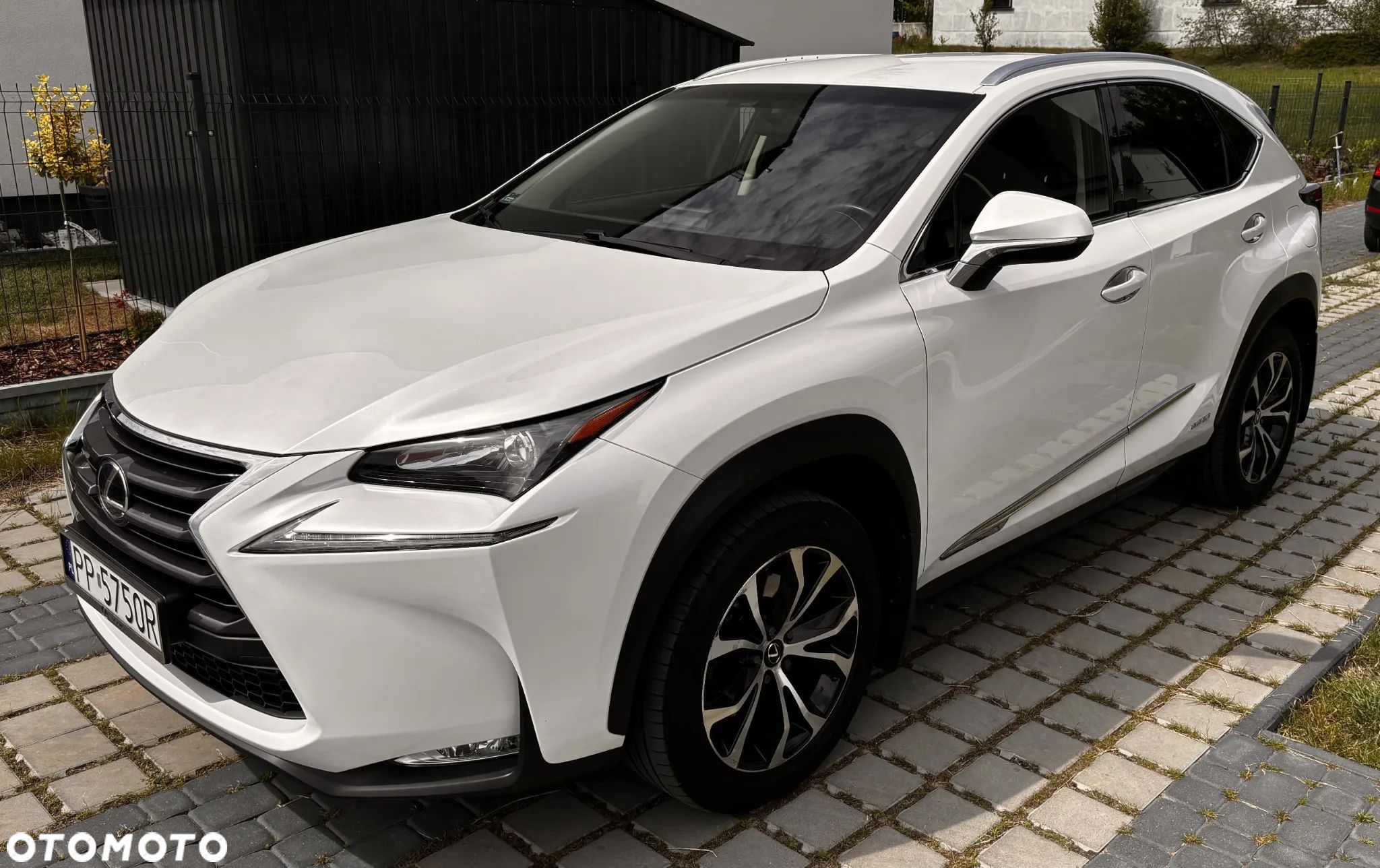 Lexus NX 300h Elite AWD - 1