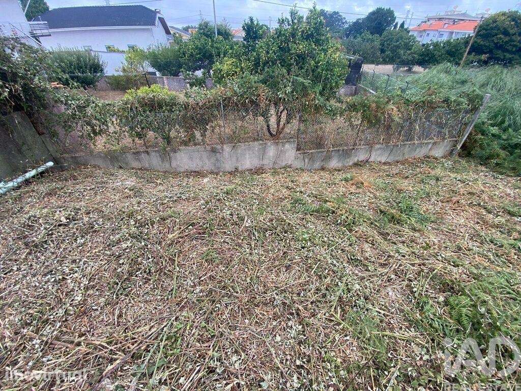 Terreno em Serzedo e Perosinho - Grande imagem: 2/6