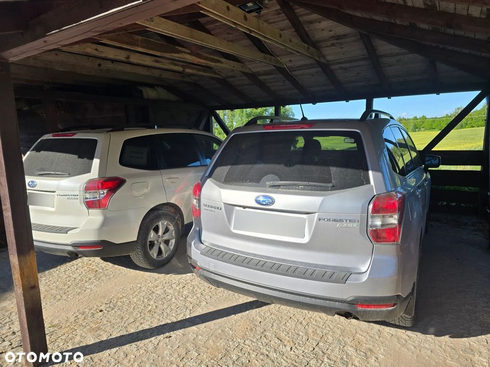 Subaru Forester - 15