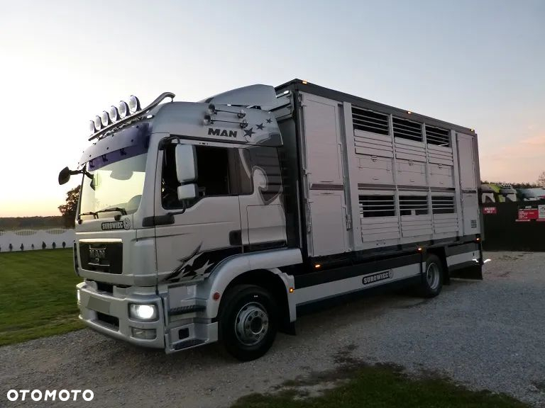 MAN TGM 15.290 DO ŻYWCA / ZWIERZĄT / BYDŁA / TRZODY CHLEWNEJ / WAGA EL. / NA PODUSZKACH / EURO 5 / DMC 16.000 KG - 2