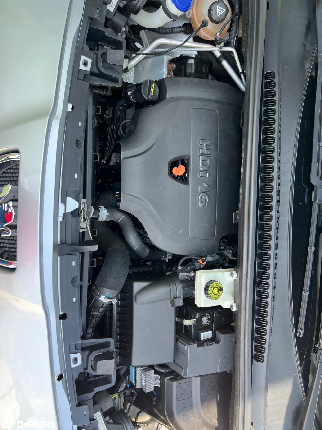 Peugeot 5008 - 17