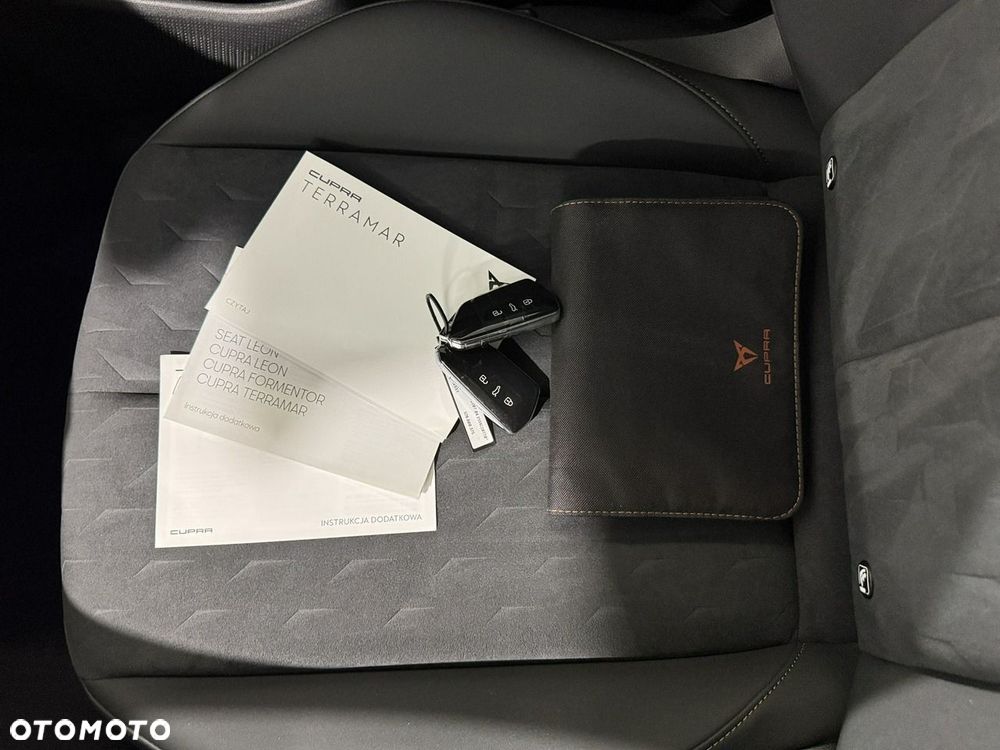 Cupra Terramar 1.5 eTSI DSG - 38