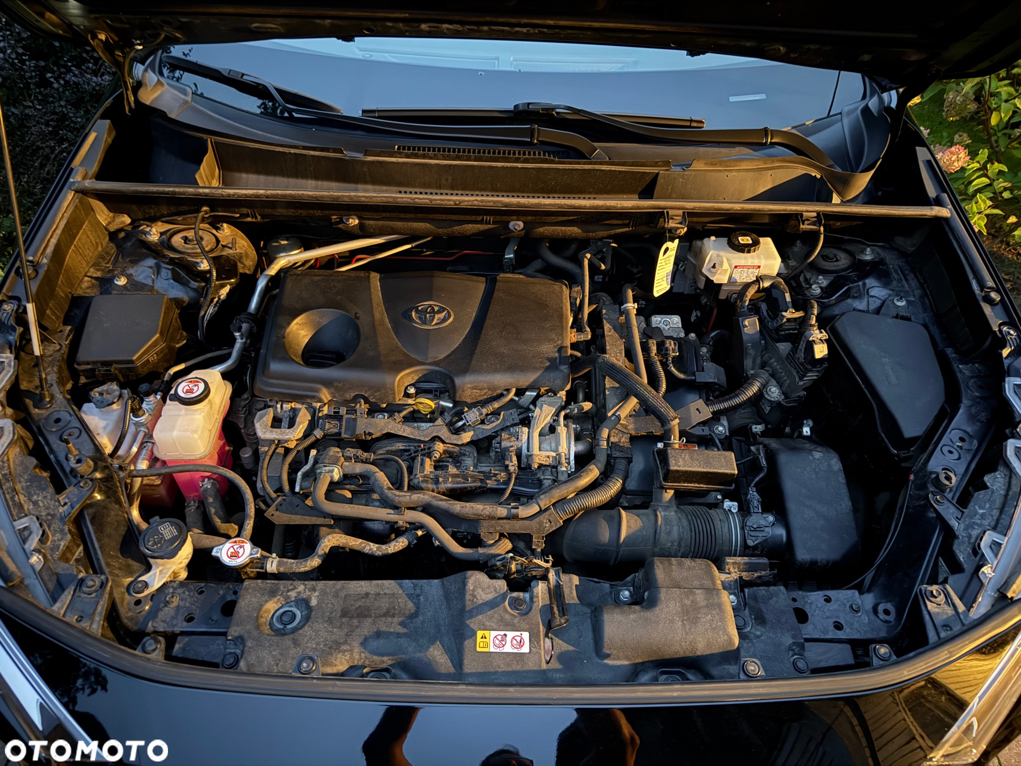 Toyota RAV4 2.5 Hybrid Active 4x2 - 5