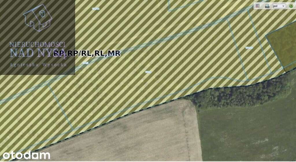 działka rolna , 4 HA, Miedziana - Pełny obrazek: 3/5