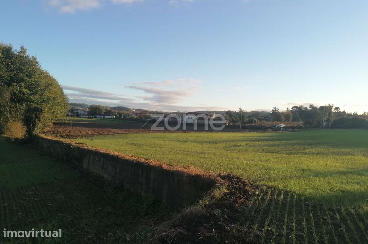 Terreno agrícola com 6.650 M2 em Minhotães-Barcelos - Grande imagem: 5/14