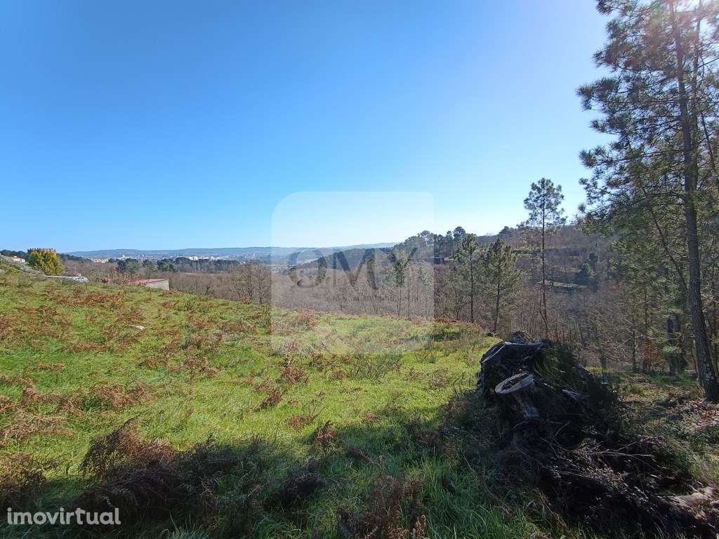 Terreno em Quintela, Vila Marim, Vila Real - Grande imagem: 2/9