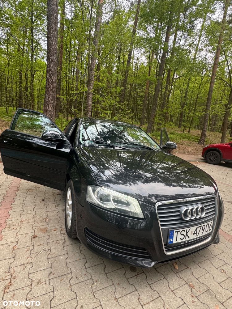 Audi A3 3-drzwiowe 1.6 TDI DPF Attraction - 2