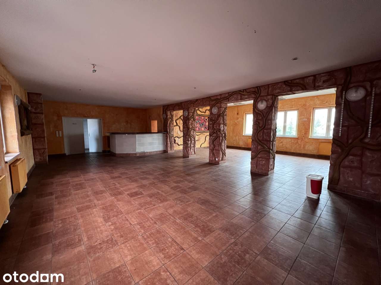 Sala 225m2 lub 100m2/Lokal użytkowy/Sklep - Pełny obrazek: 2/10
